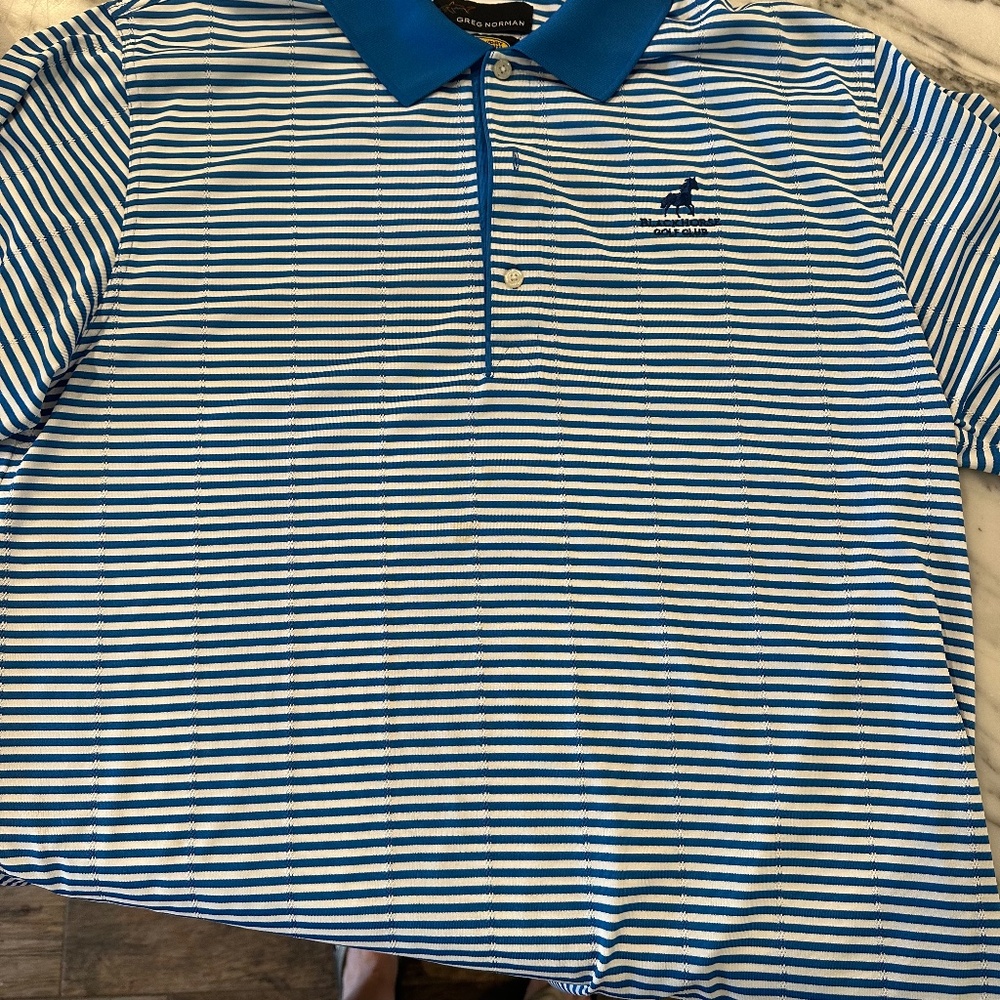 Mens Golf Shirt Stripped Blue and White